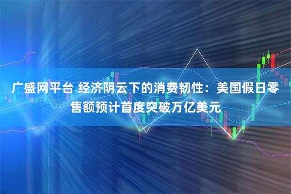 广盛网平台 经济阴云下的消费韧性：美国假日零售额预计首度突破万亿美元