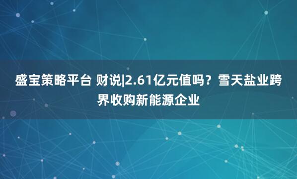 盛宝策略平台 财说|2.61亿元值吗？雪天盐业跨界收购新能源企业