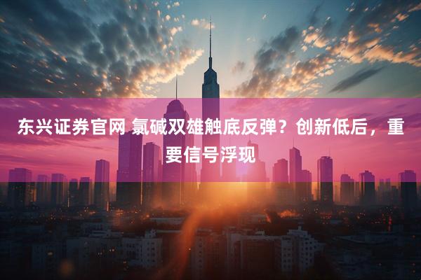 东兴证券官网 氯碱双雄触底反弹？创新低后，重要信号浮现
