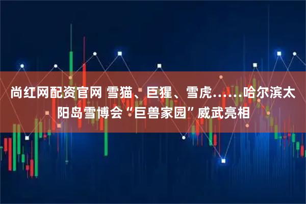 尚红网配资官网 雪猫、巨猩、雪虎……哈尔滨太阳岛雪博会“巨兽家园”威武亮相