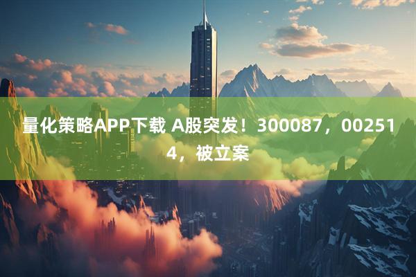 量化策略APP下载 A股突发！300087，002514，被立案